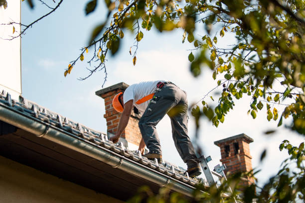 Best Commercial Roofing Services  in Seville, FL