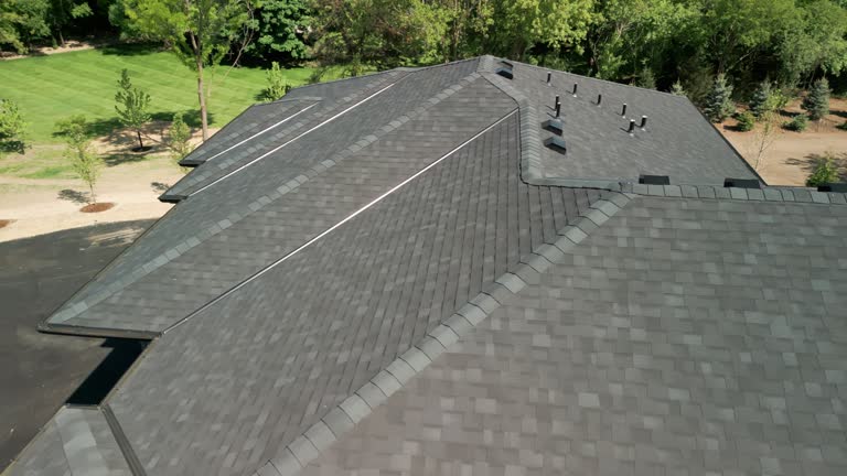 Best Solar Panel Roofing Installation  in Seville, FL