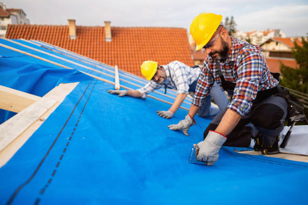 Best Green or Eco-Friendly Roofing Solutions  in Seville, FL
